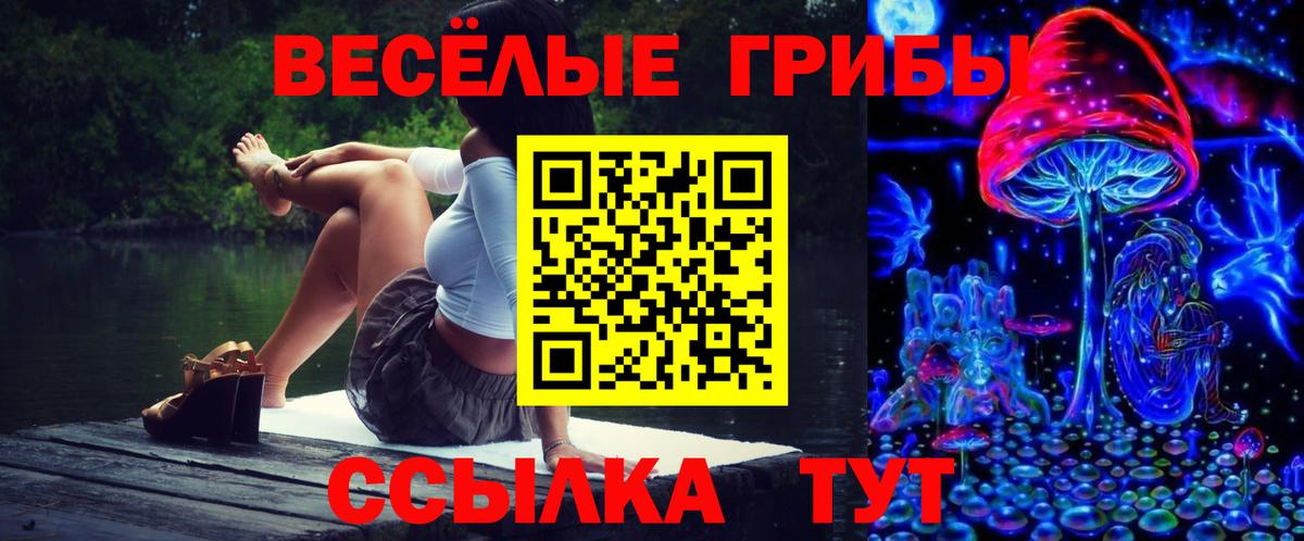 Псилоцибиновые грибы MAGIC MUSHROOMS  Вход с VPN  продажа наркотиков  Протвино 
